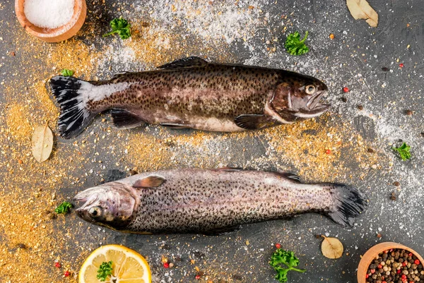 Φρέσκα ωμά ψάρια πέστροφα — Φωτογραφία Αρχείου