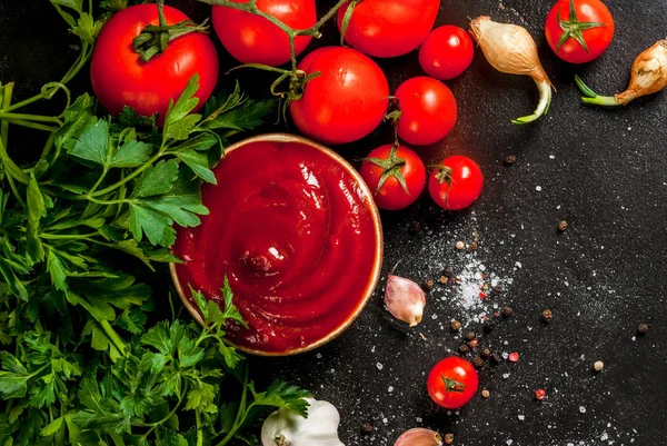 Salsa de tomate o ketchup con ingredientes — Foto de Stock