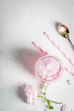 Tatlılar serinletici yaz. Vegan diyet yiyecek. Ro dondurulmuş dondurma