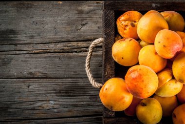 Ahşap kutusunda Ham kayısı