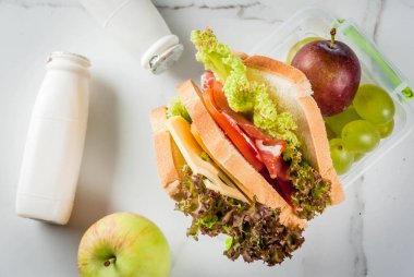 Sağlıklı okul beslenme çantası