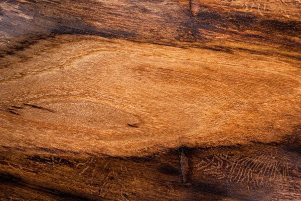 Arrière-plan, vieux bois texturé, orme — Photo