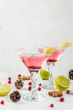 Festival kızılcık martini