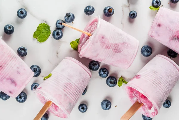 Blueberry fagylalt popsicles — Stock Fotó