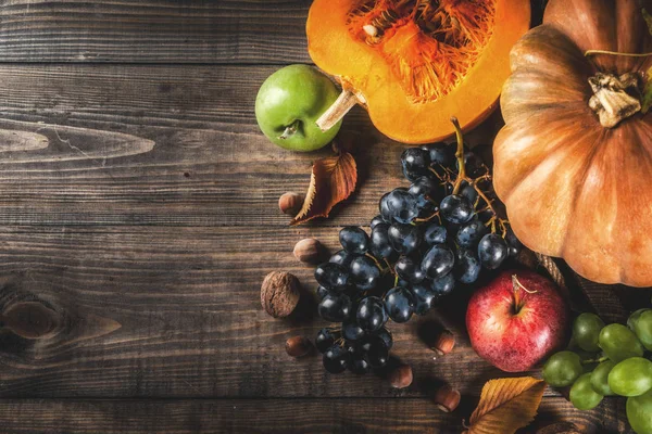 Herbstfrüchte und Kürbis der Saison — Stockfoto