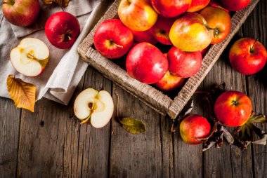 Sonbahar çiğ kırmızı elmalar