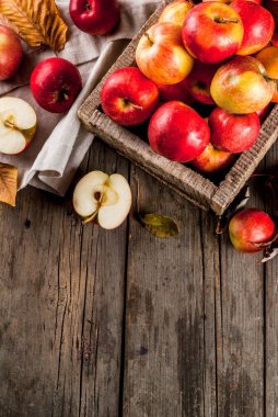 Sonbahar çiğ kırmızı elmalar