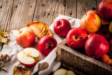 Sonbahar çiğ kırmızı elmalar