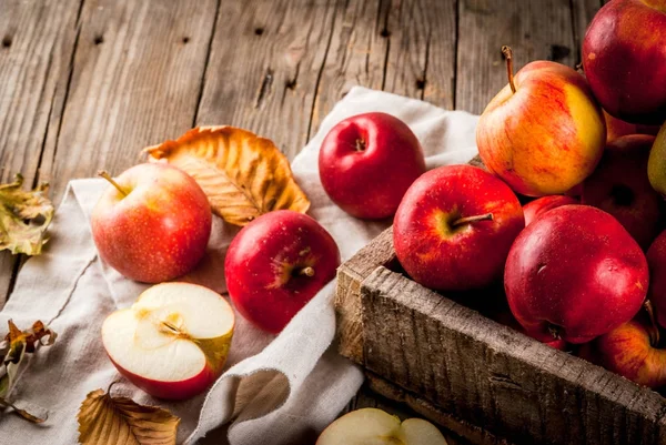 Sonbahar çiğ kırmızı elmalar