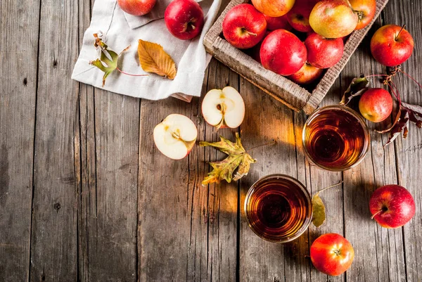 Свіжий органічний сільськогосподарський яблучний сік в окулярах з сирим цілим і ковзанням — стокове фото