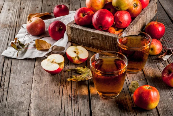 Sok jabłkowy świeże gospodarstwo ekologiczne w okularach z surowego całości i sli — Zdjęcie stockowe