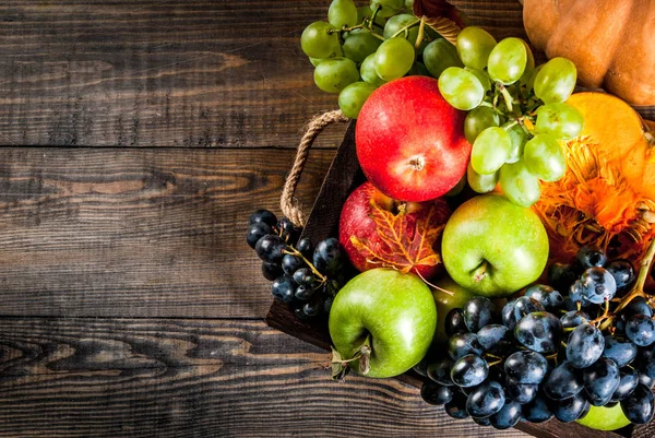 Mevsim sonbahar meyve ve kabak