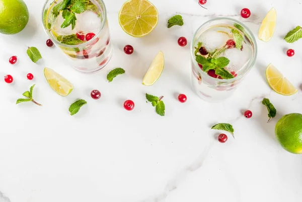 Bebida do refresco da queda e do inverno, sagacidade do cocktail do mojito do cranberry — Fotografia de Stock