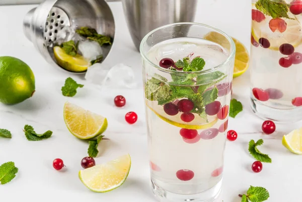 Herfst en winter verfrissing drankje, cranberry mojito cocktail wit — Stockfoto
