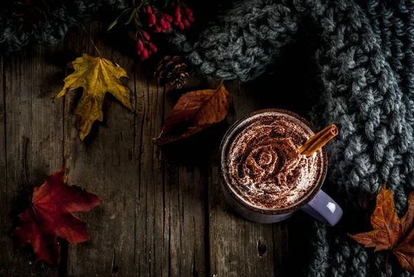 Würzige herbstliche heiße Schokolade — Stockfoto