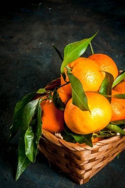 Taze ham organik mandalina 