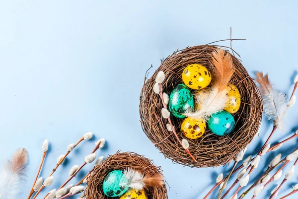Pasen achtergrond met van vogel nesten en eieren — Stockfoto