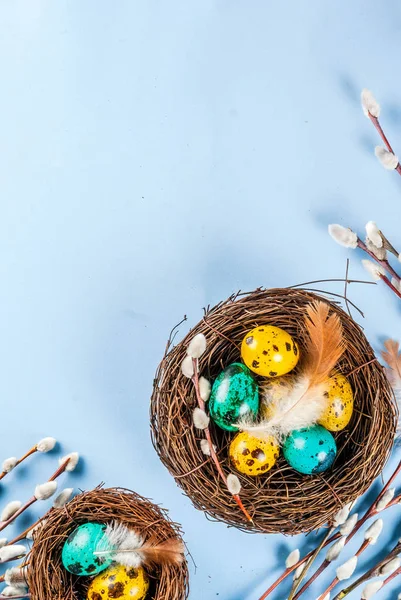 Pasen achtergrond met van vogel nesten en eieren — Stockfoto