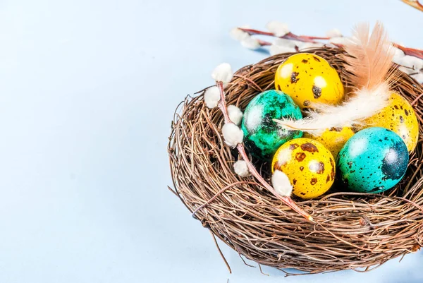 Pasen achtergrond met van vogel nesten en eieren — Stockfoto