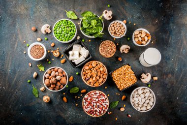 Vegan protein kaynağı