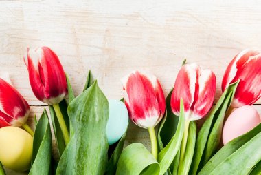 Paskalya yumurtaları ve Lale arka plan