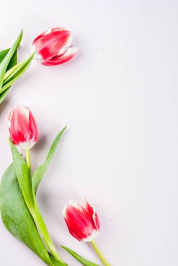 Bahar kavramı Lale ile 