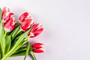 Bahar kavramı Lale ile 