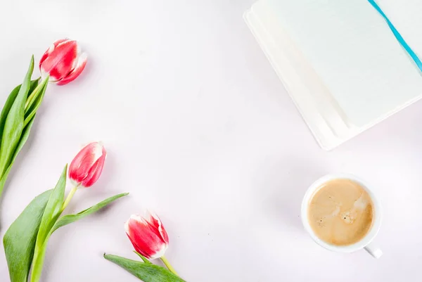 Concepto de primavera con tulipanes — Foto de Stock