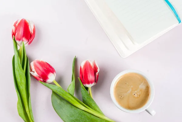 Concepto de primavera con tulipanes — Foto de Stock
