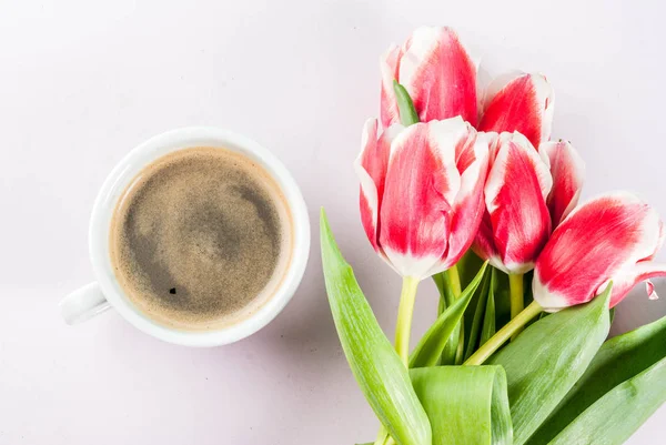 Spring concept with tulips — Stock Photo, Image