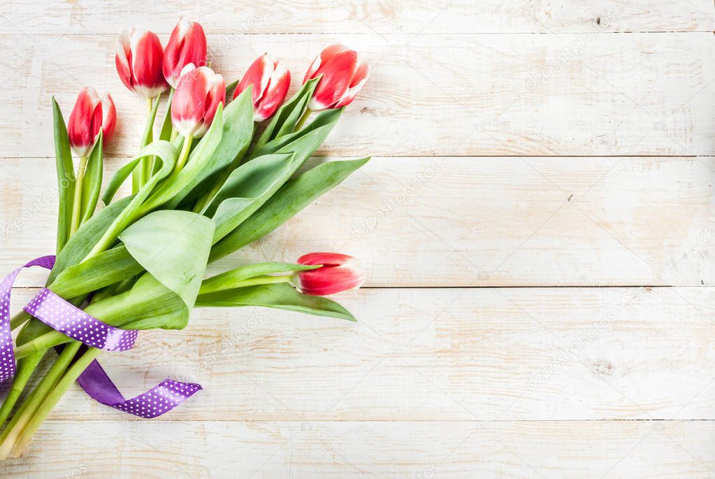 Background with tulip flowers
