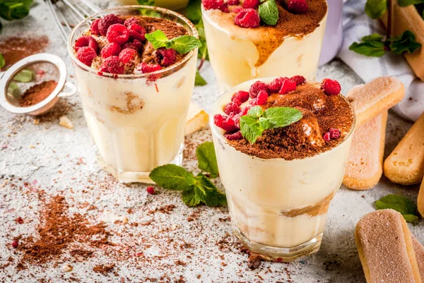 Tiramisu med mint och hallon — Stockfoto