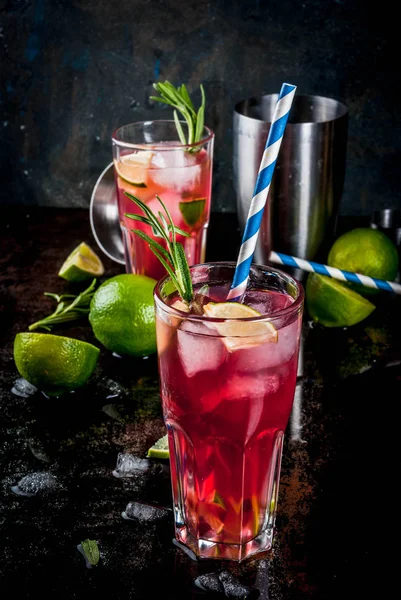 Tranbär och lime cocktail — Stockfoto