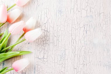 Anneler günü kavramı, tebrik kartı arka plan. Çiçek Lale o