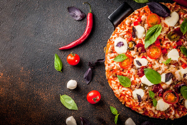 Italian pizza with ingredients