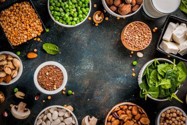 Vegan protein kaynağı