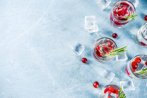 Winter-Cocktail mit Preiselbeere und Rosmarin — Stockfoto