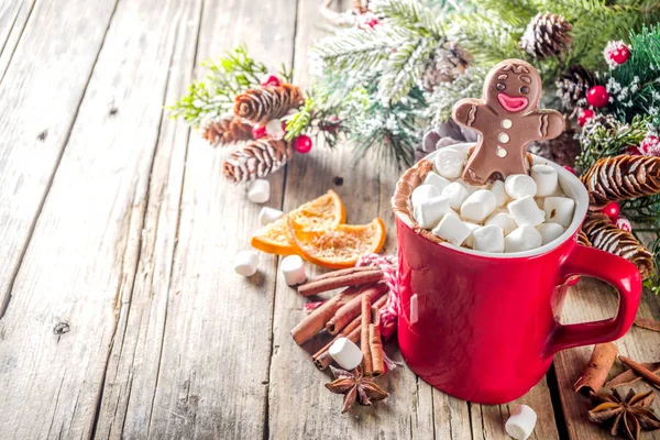 Taza de chocolate caliente de Navidad con hombre de pan de jengibre de chocolate — Foto de Stock