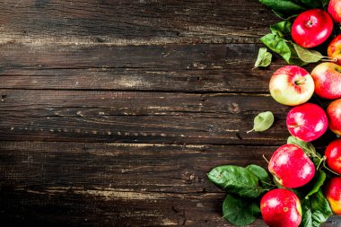 Sonbahar organik çiğ elma, yaprakları ile