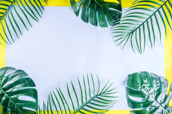 Tropical palm and monstera leaves background