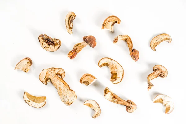 Сушеные лесные органические грибы — стоковое фото