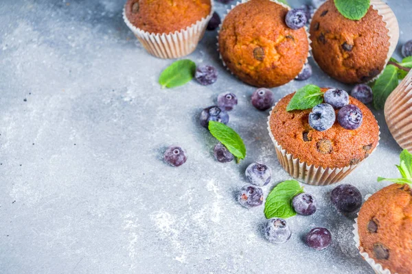 Áfonyás muffin friss bogyóval — Stock Fotó