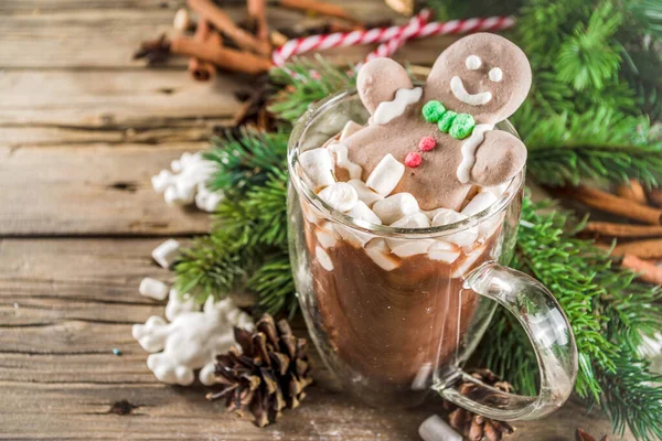 Legrační vánoční kakao s Marshmallow — Stock fotografie
