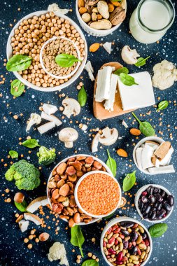 Vegan bitki protein kaynağı