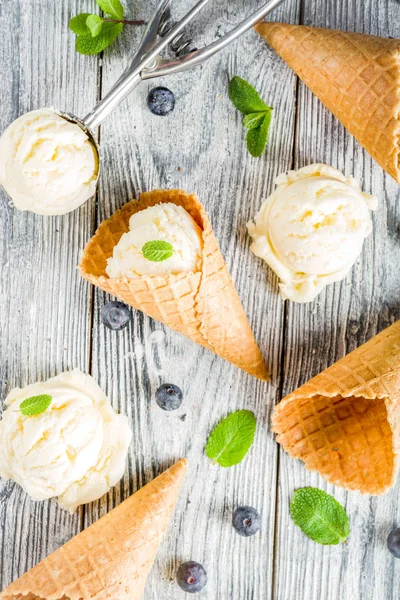 딸기와 바닐라 아이스크림 — 스톡 사진
