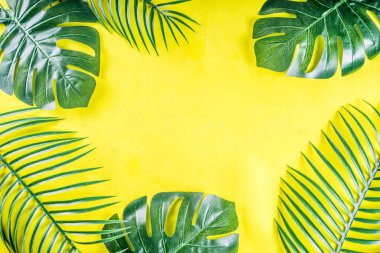 Tropik palmiye ve canavar yaprakları arka planda