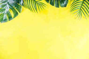 Tropik palmiye ve canavar yaprakları arka planda