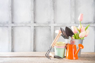Bahçe aletleri ve çiçekler. 
