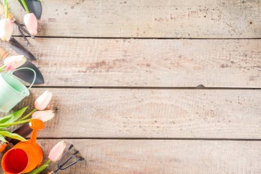 Bahçe aletleri ve çiçekler. 