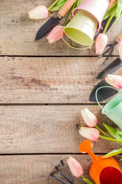 Bahçe aletleri ve çiçekler. 